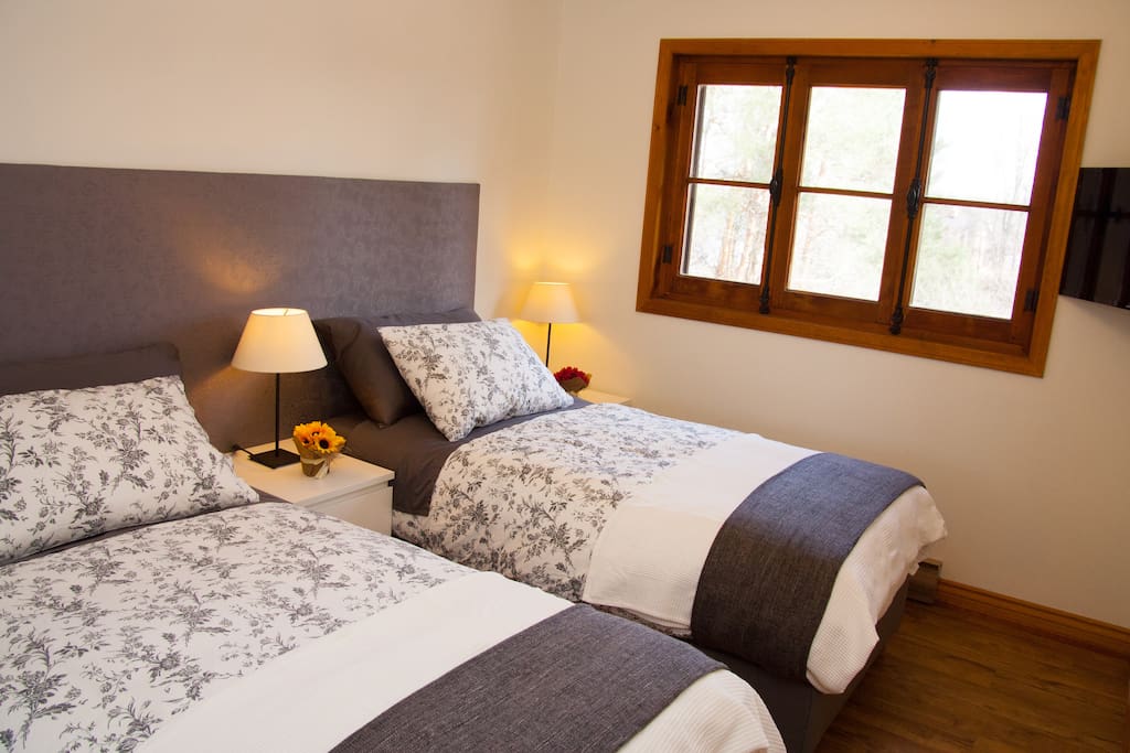 Room set up as twin beds
