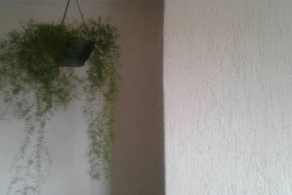 Área comum