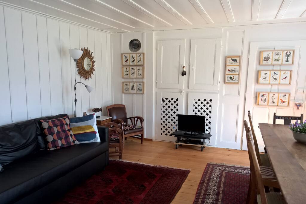 salon/salle à manger avec canapé-lit