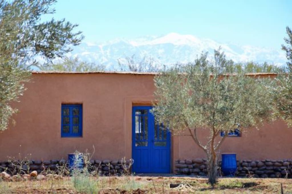 Our Organic Shop!