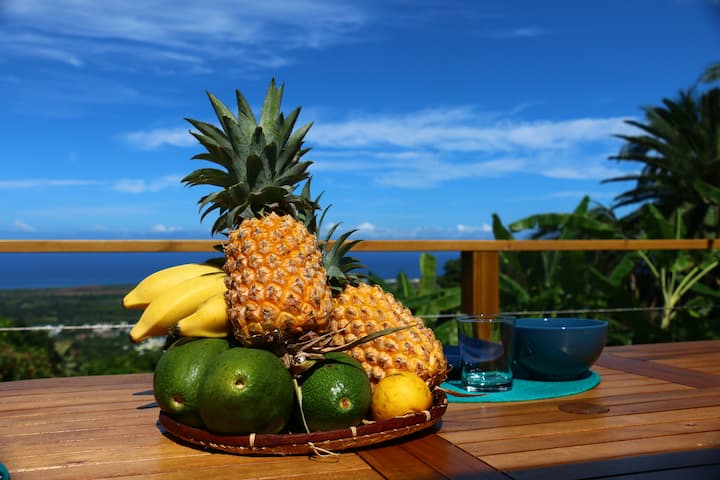 Villa Payanké Vue Panoramique Mer Piscine Chauffée - Réunion