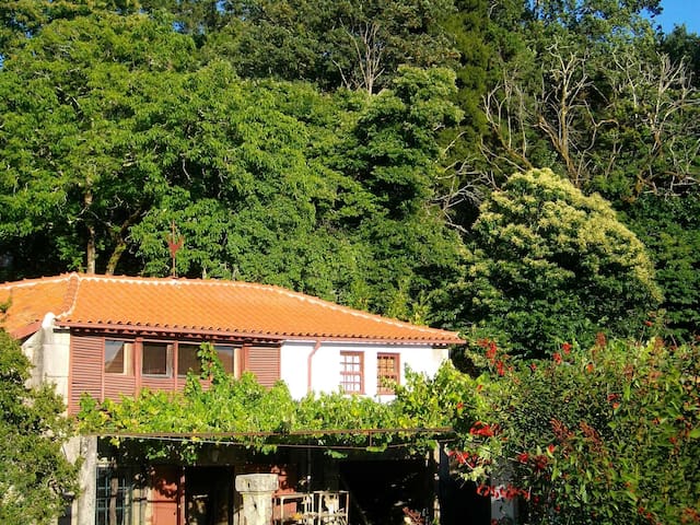 Get Quinta costeira sala de estar For Android Quinta Costeira Sala De Estar