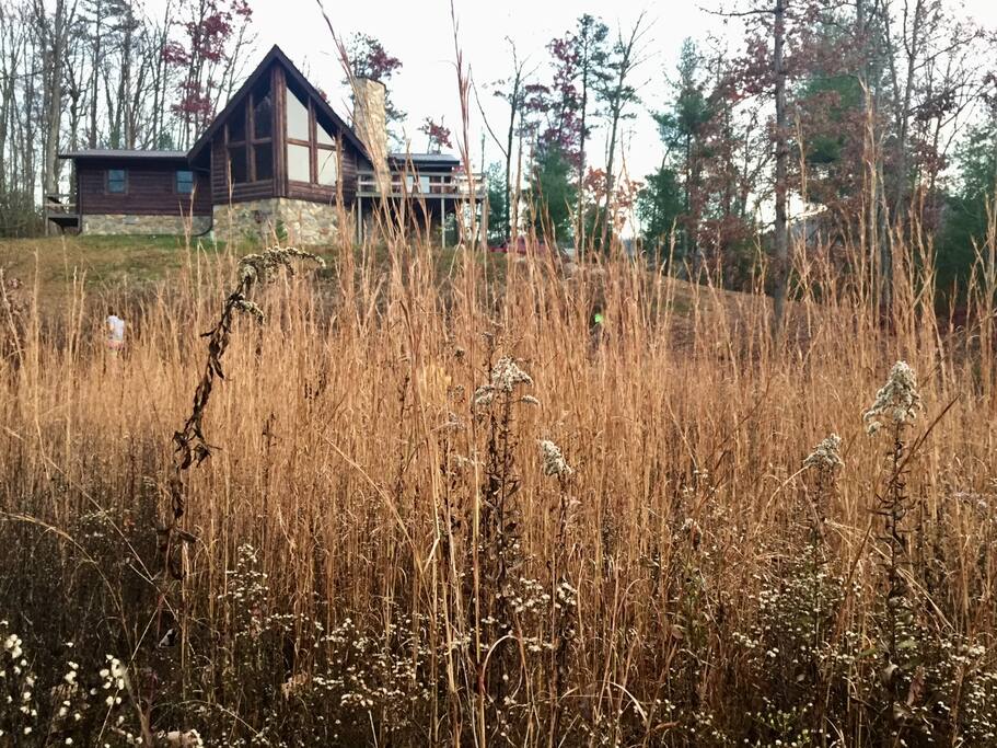 Cabin View from Lower Portion of Property that Adjoins the Cherokee National Forest