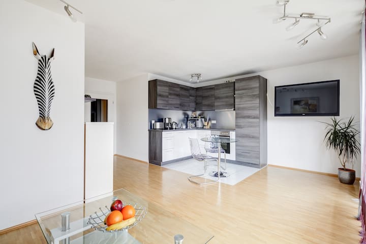 Modern apartment in quiet location