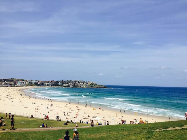 BONDI BEACH !! AMAZING ROOM!! HAPPY