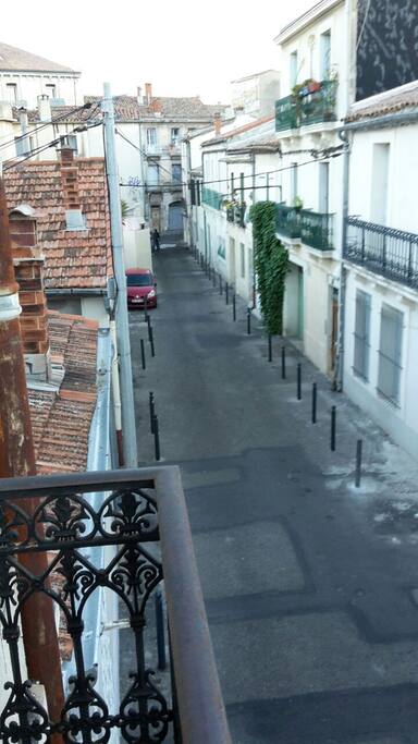 rue