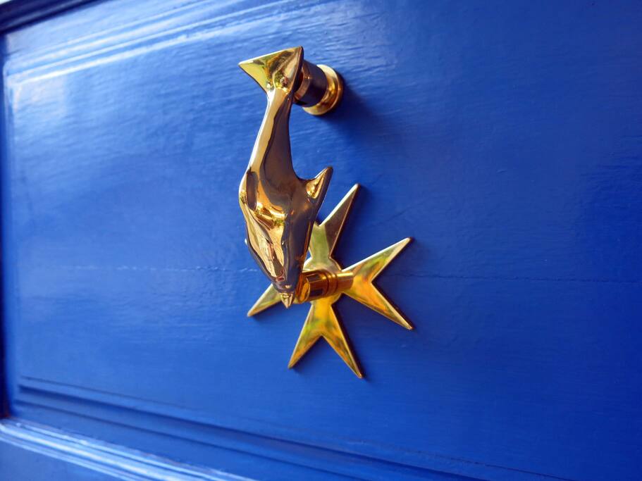 Welcome to the Dolphin House