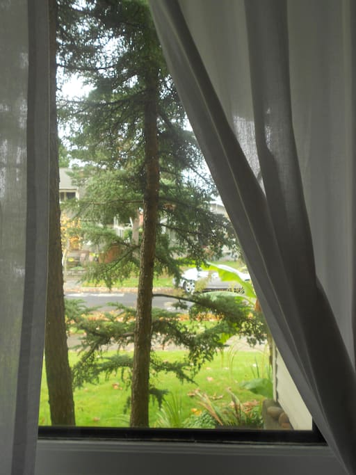 Big picture window letting in lots of natural light.