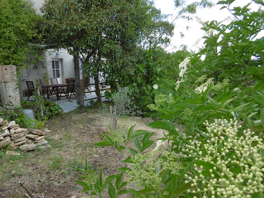 Vue jardin/terrasse