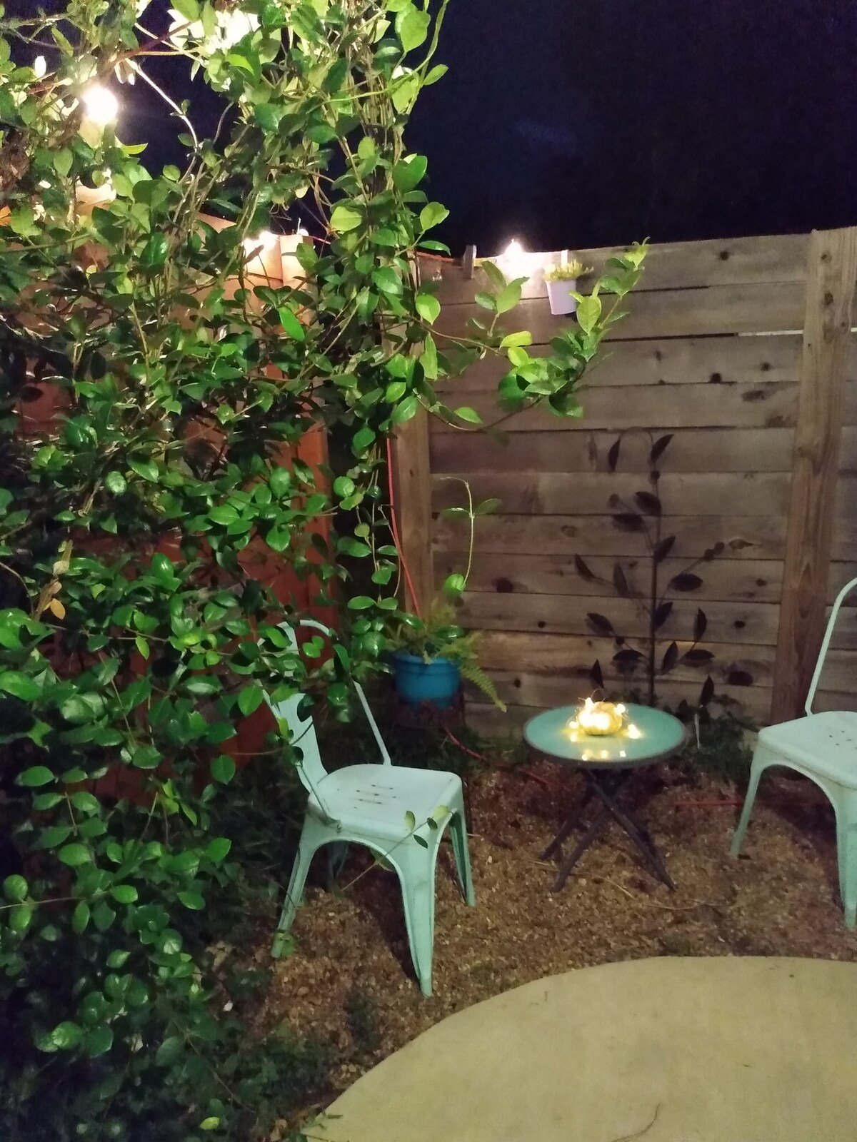 Modern and Cozy South Austin Studio