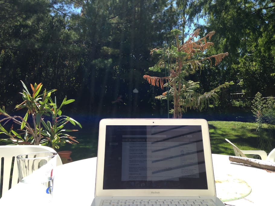 Home office in the Back Yard
