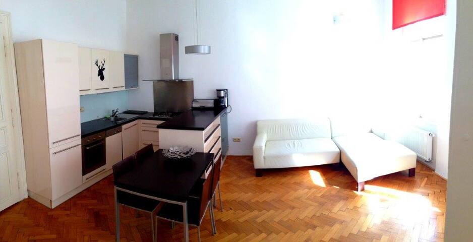 Spacious historical flat, excellent location gallery image 5