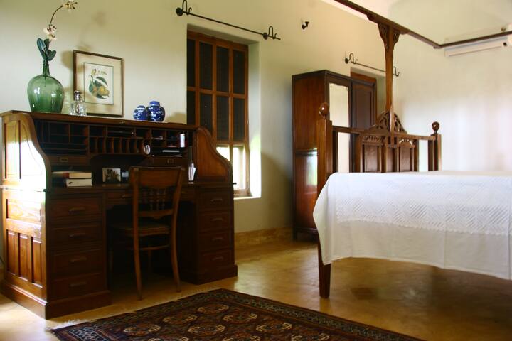 Heliconia room on the first floor.
