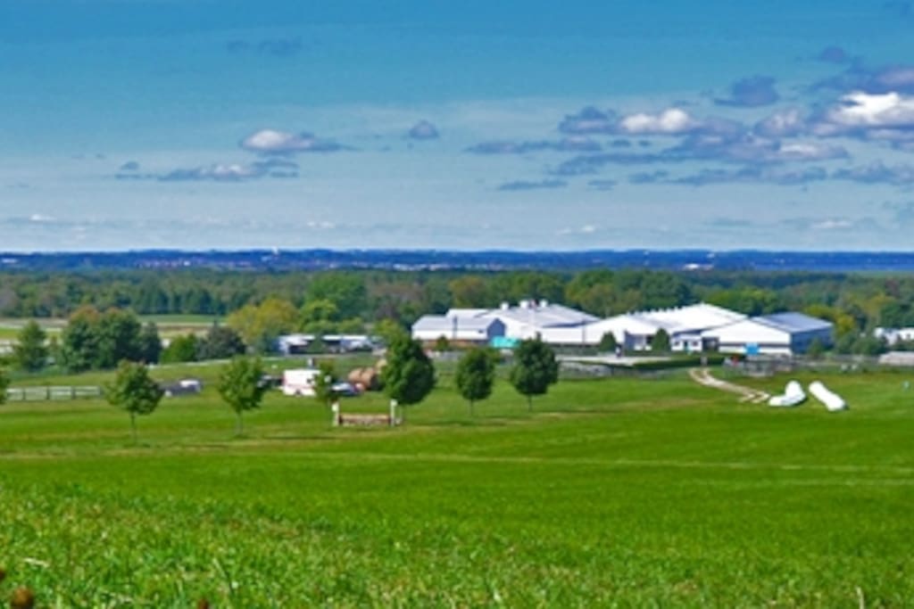 View of our 100 acre horse farm