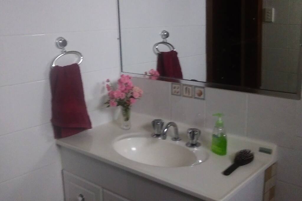 bathroom has a shower over a bath
