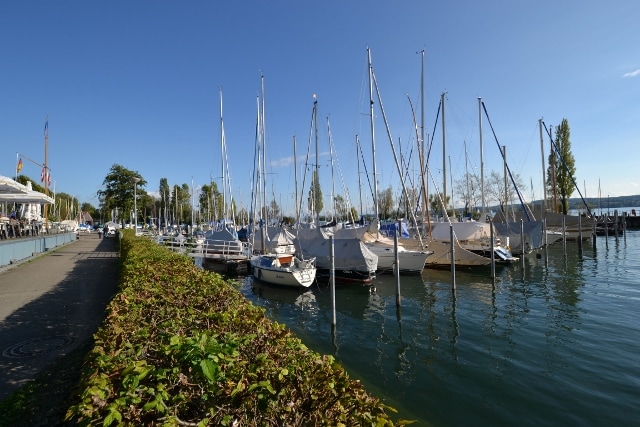 A marina is lined with numerous sailboats, their masts reaching high against a clear blue sky. The calm water reflects the boats and surrounding greenery. A pedestrian path runs alongside the marina, creating a scenic walkway with well-maintained shrubs.