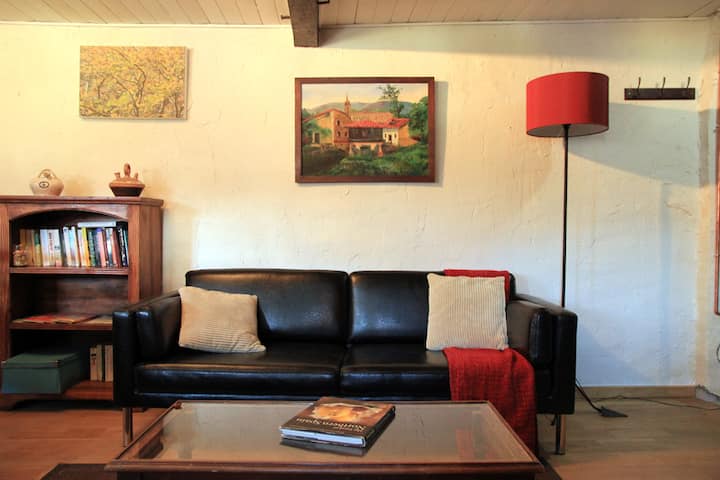 Traditional Village Cottage - Proaza