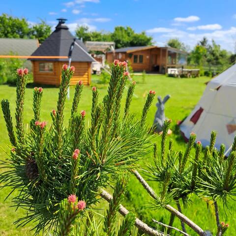 The Ranch Cabin
Glamping Laois with Hot Tub