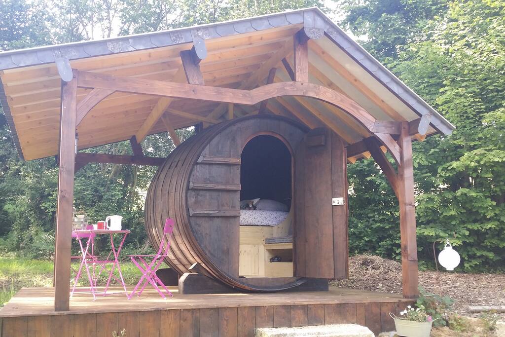 pomme de reinette sous son abri