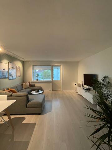 Modern 2BR apt. with balcony gallery image 4
