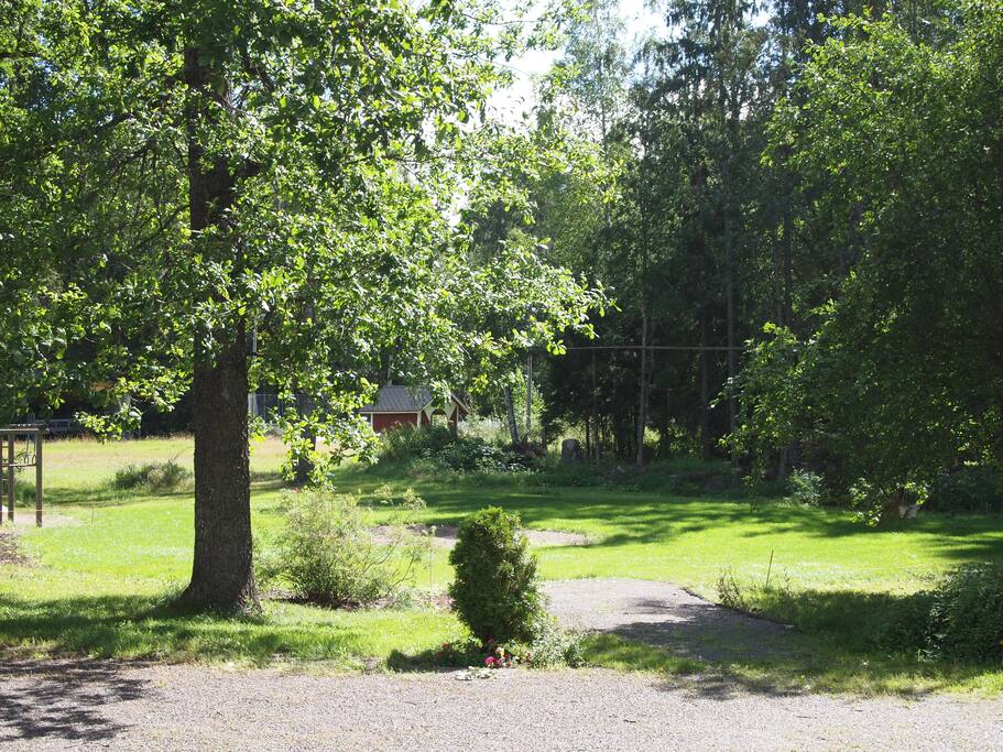 Pihaa