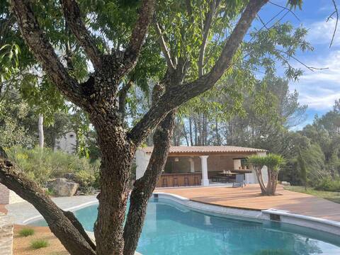 THE ISLAND ON THE SORGUE - HOUSE OF CHARACTER