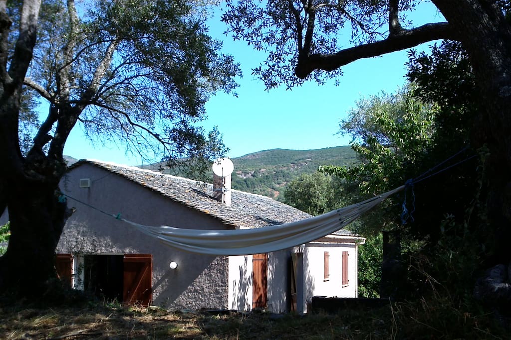 Venez vous ressourcer et vous reposer dans une maison au calme entourée d'arbres et de maquis