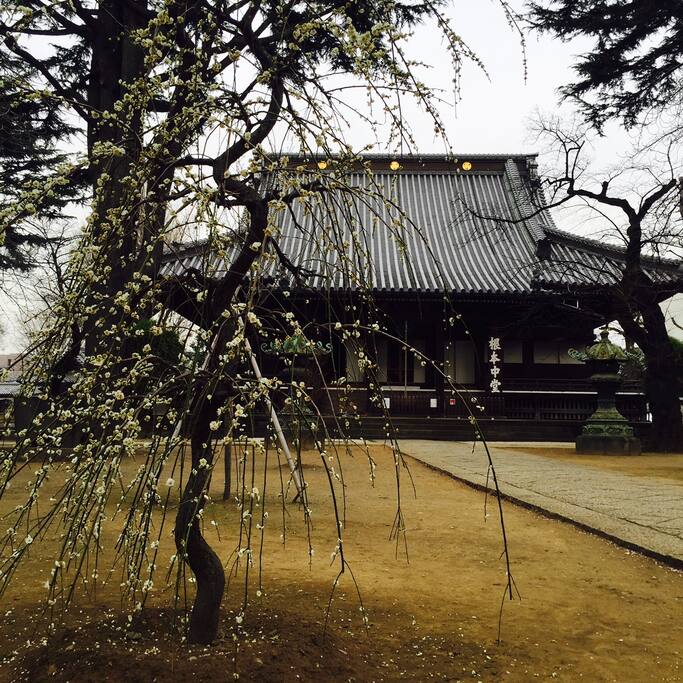 寛永寺