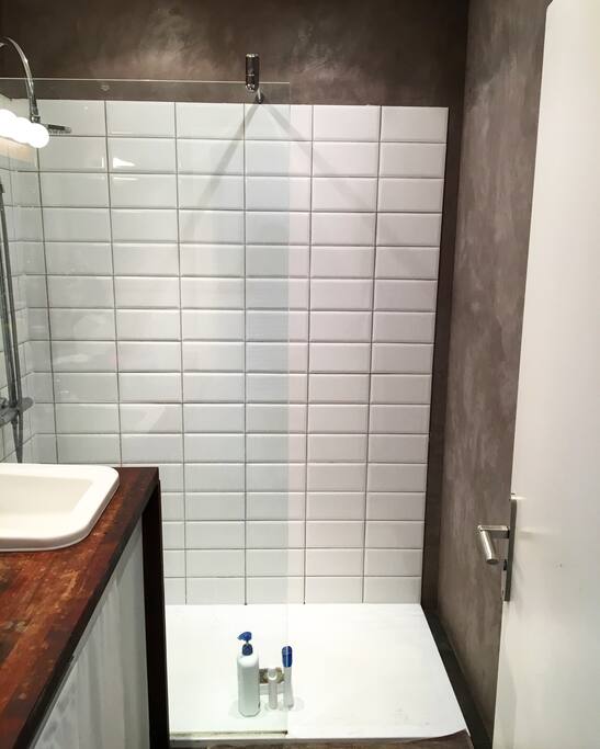 Petite salle de bain avec grande douche
