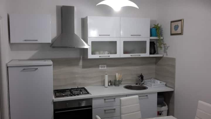 Modern apartment Lorna-Mljet Island