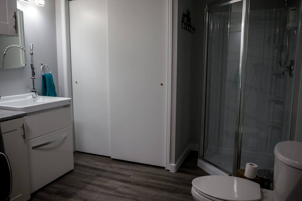 bathroom with shower, large vanity sink