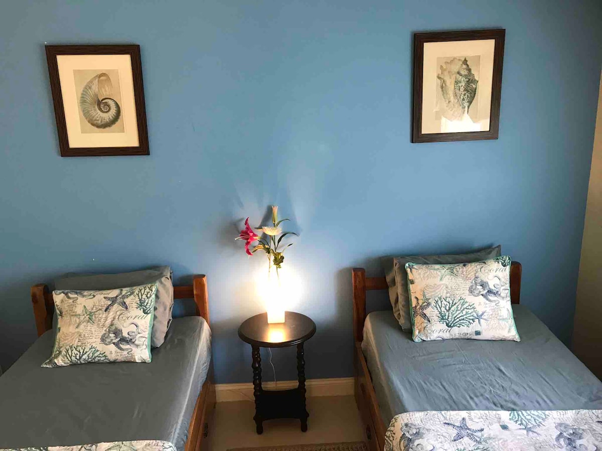 Ტყუპები (BDRM)