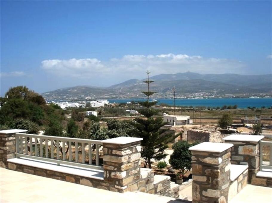 the view