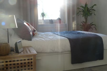 Altbau Zimmer in Eimsbüttel