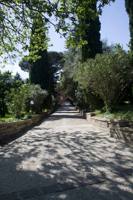 Viale d'Ingresso
