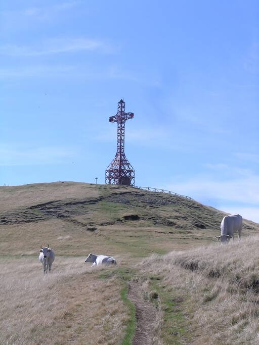 Croce del Pratomagno