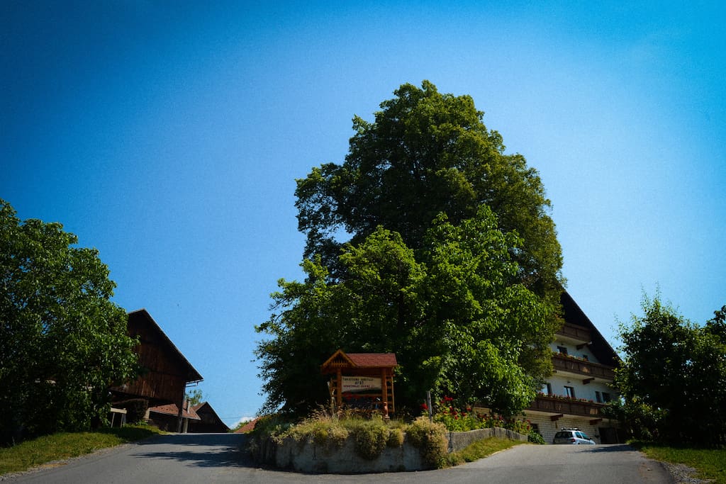 Farm and house