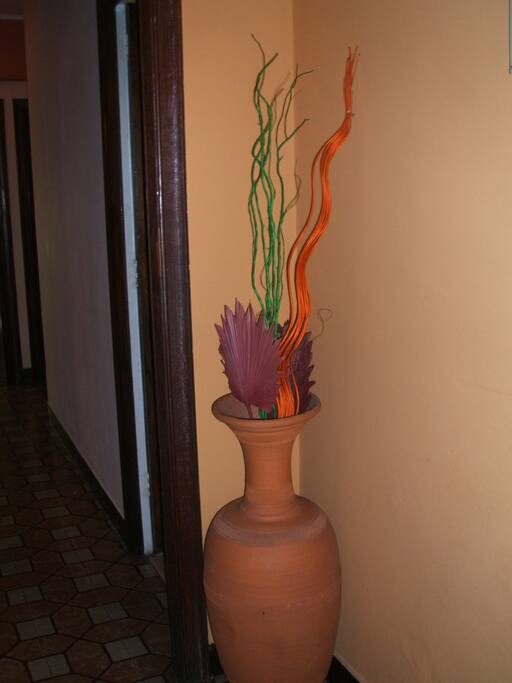 DISTRIBUIDOR ENTRADA