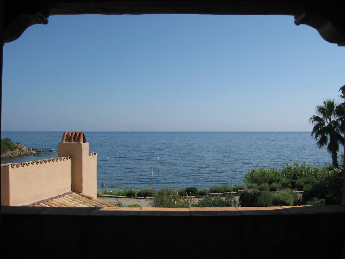 The view from the window reveals an expansive sea, with gentle waves lapping against the shore. Sunlight reflects on the water's surface, and a clear blue sky stretches above. Lush greenery lines the beachfront, complementing the serene coastal scenery.