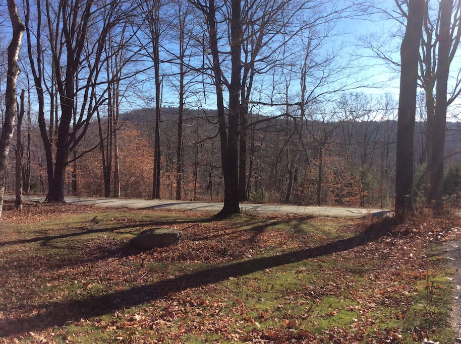 November view from living room.