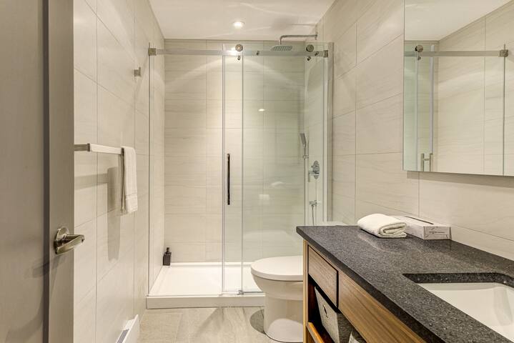 C02 | 2 Bedrooms Apt, Top Floor, Downtown, Quebec gallery image 5