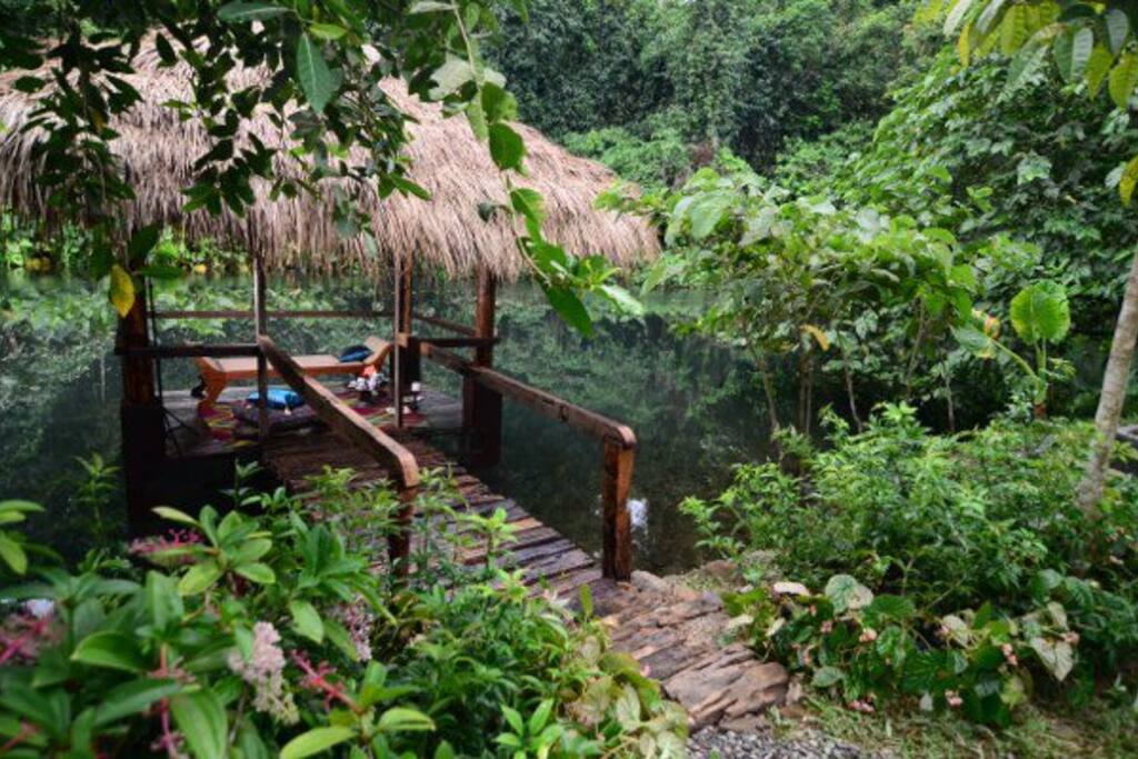 Our gazebo by a large pond a few steps away from the house.