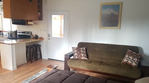 Successful Airbnb property: Private Alaskan Cabin, pet friendly in Kenai Peninsula