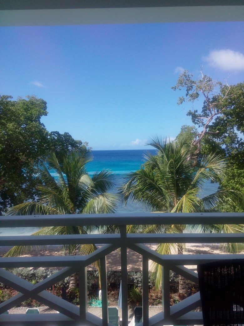 A serene view of Paynes Bay is presented from a balcony, framed by lush palm trees. The bright blue sea meets the horizon under a clear sky, creating a calming coastal atmosphere.