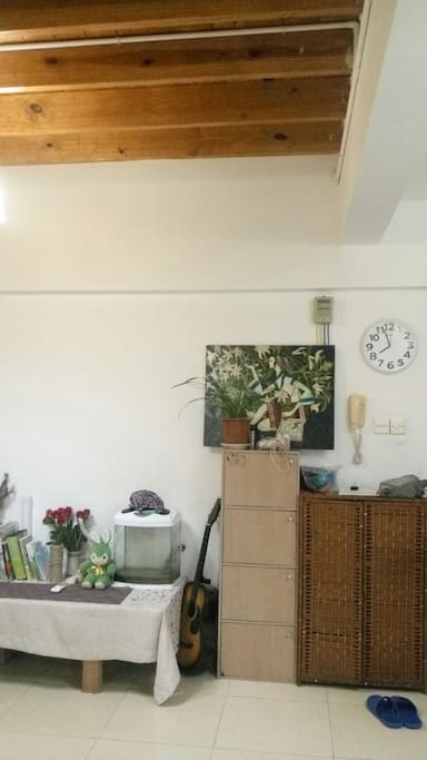 入门口,麻烦鞋子放鞋柜哦。