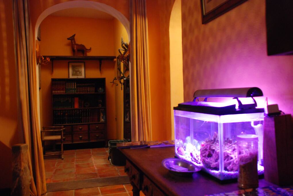entrance to the living room and entrance to the room's corridor