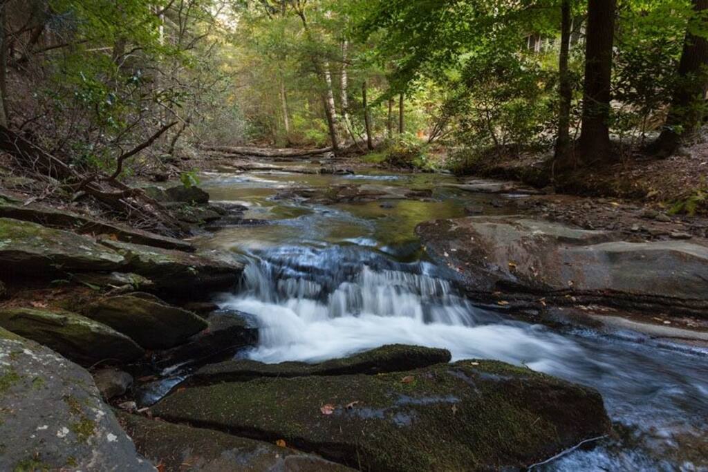 Turniptown Creek located just below the cabin
