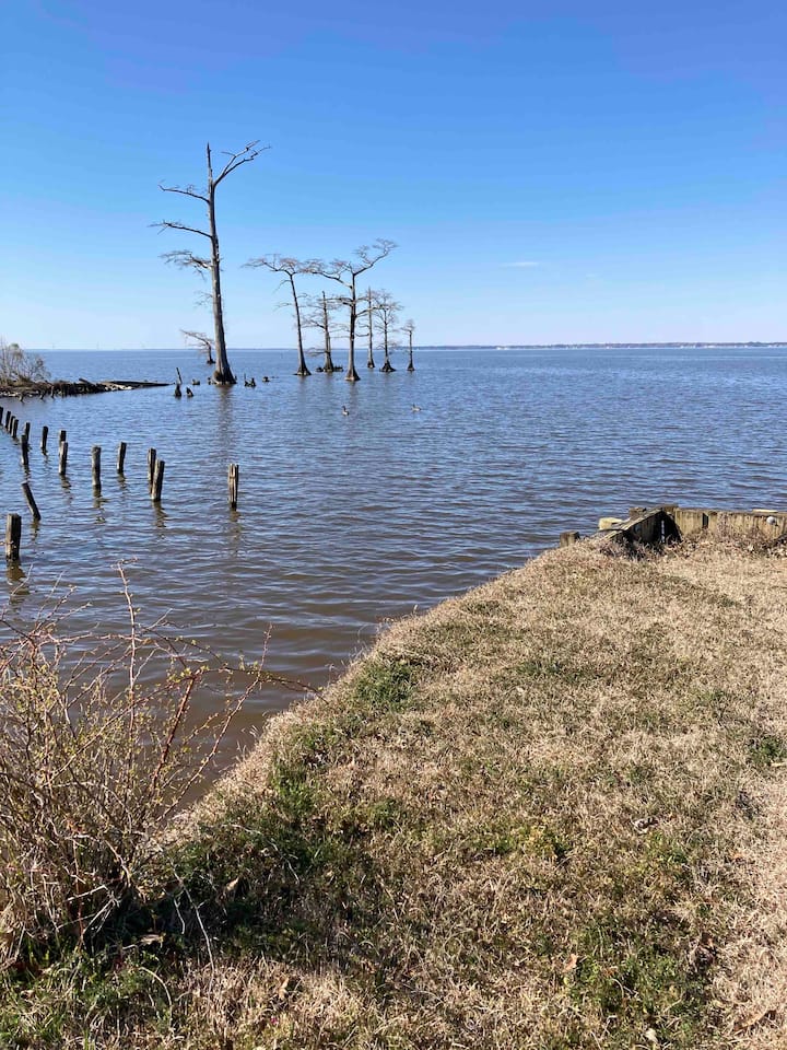 Anchor Drop Private Entrance Minutes to the Sound Houses for Rent in Roper, North Carolina