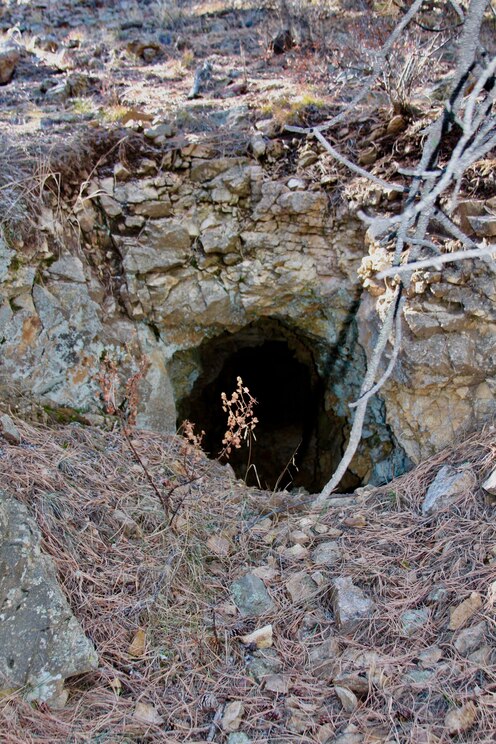 Показать полноэкранное фото от хозяина