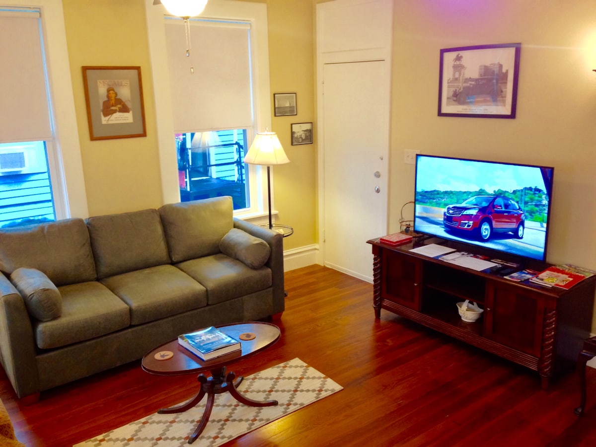 La televisión tiene Amazon Firestick con Amazon Prime y suscripción a Netflix.